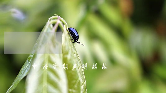 申请逾期声明模板 申请逾期声明模板