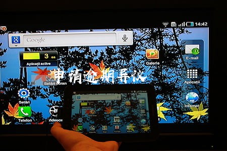 申请逾期异议