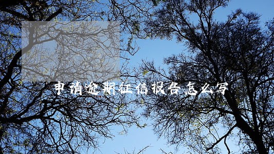 申请逾期征信报告怎么写 申请逾期征信报告怎么写