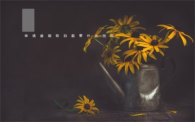 申请逾期抵扣需要什么资料