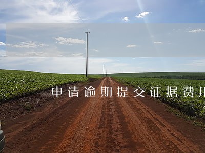 申请逾期提交证据费用