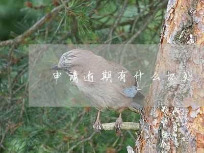 申请逾期有什么坏处 申请逾期有什么坏处