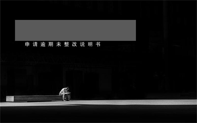 申请逾期未整改说明书 申请逾期未整改说明书