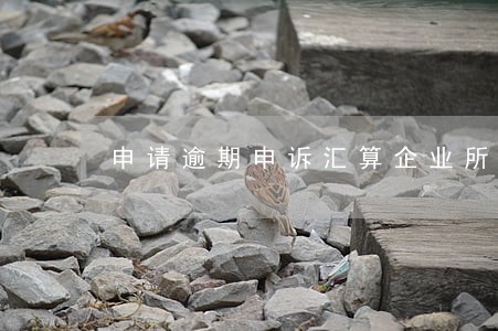 申请逾期申诉汇算企业所得税 申请逾期申诉汇算企业所得税