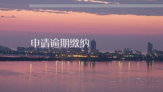 申请逾期缴纳 申请逾期缴纳