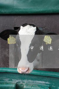 申请逾期记录怎么消除得多长时间 申请逾期记录怎么消除得多长时间