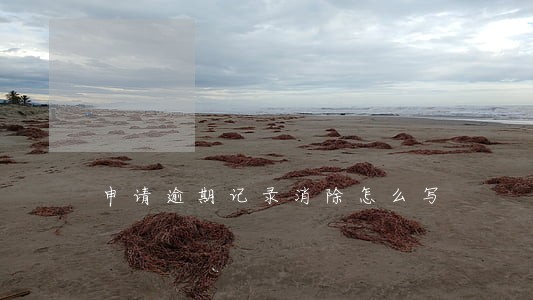 申请逾期记录消除怎么写 申请逾期记录消除怎么写
