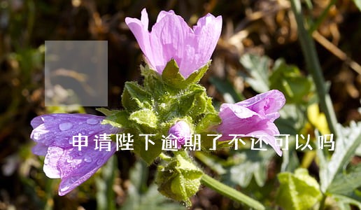 申请陛下逾期了不还可以吗 申请陛下逾期了不还可以吗
