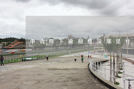 申请陛下逾期费没涨是什么情况 申请陛下逾期费没涨是什么情况