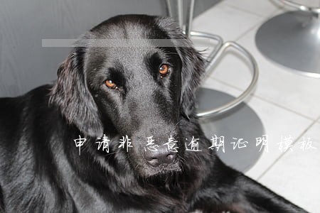 申请非恶意逾期证明模板 申请非恶意逾期证明模板