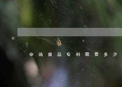 申请食品专利需要多少钱多长时间 申请食品专利需要多少钱多长时间