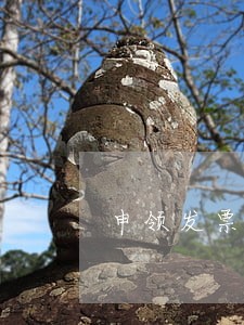 申领发票提示有逾期未申报