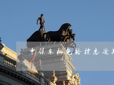 申领车辆免检标志逾期未办理 申领车辆免检标志逾期未办理