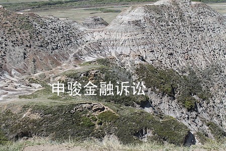 申骏金融诉讼 申骏金融诉讼