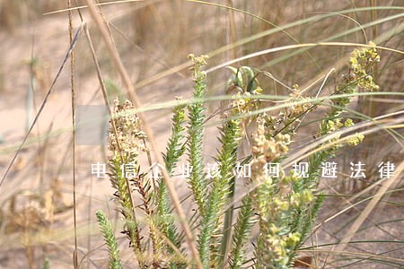 电信企业该如何规避法律风险 电信企业该如何规避法律风险