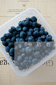 电信公司宽带逾期费 电信公司宽带逾期费