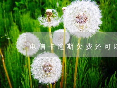 电信卡逾期欠费还可以办理吗 电信卡逾期欠费还可以办理吗