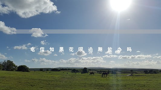 电信如果花呗逾期能办吗 电信如果花呗逾期能办吗