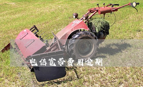 电信宽带费用逾期 电信宽带费用逾期
