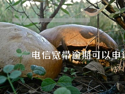 电信宽带逾期可以申请吗 电信宽带逾期可以申请吗