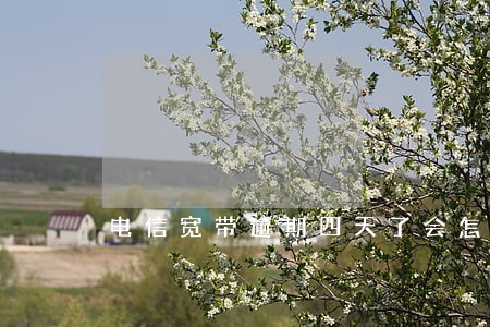 电信宽带逾期四天了会怎么样 电信宽带逾期四天了会怎么样