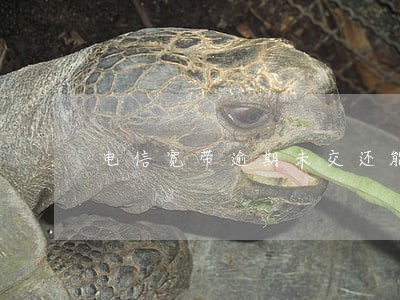 电信宽带逾期未交还能网上交吗 电信宽带逾期未交还能网上交吗
