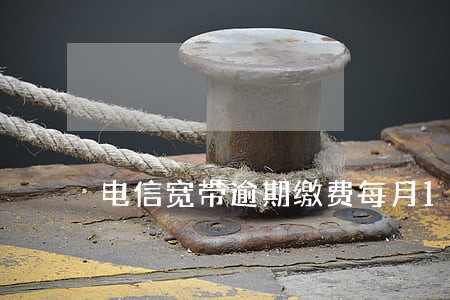 电信宽带逾期缴费每月180 电信宽带逾期缴费每月180