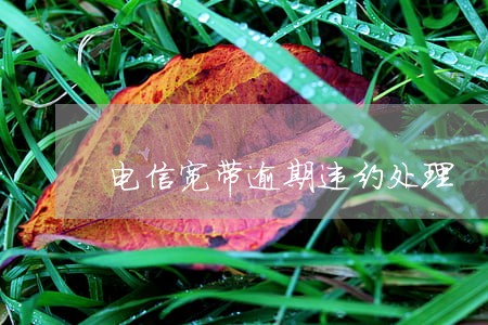 电信宽带逾期违约处理 电信宽带逾期违约处理