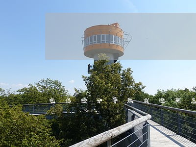 电信橙分导致我逾期怎么办