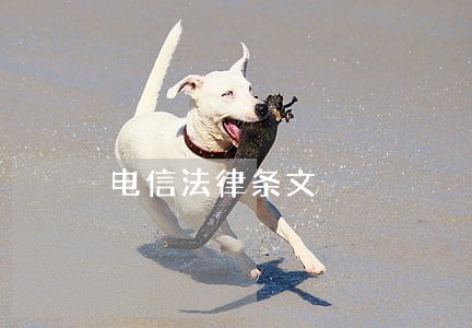 电信法律条文