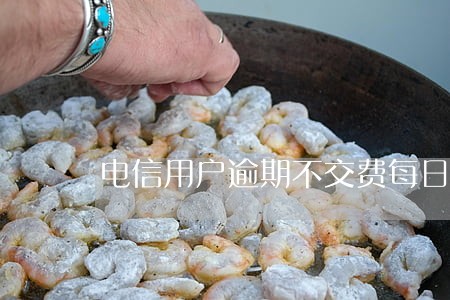 电信用户逾期不交费每日加收 电信用户逾期不交费每日加收