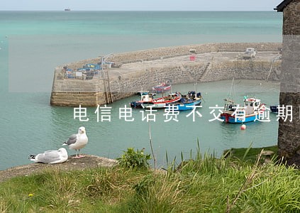 电信电话费不交有逾期吗 电信电话费不交有逾期吗