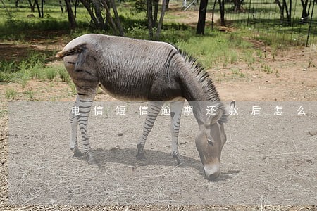 电信短信逾期还款后怎么解决 电信短信逾期还款后怎么解决