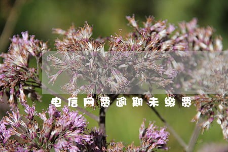 电信网费逾期未缴费 电信网费逾期未缴费