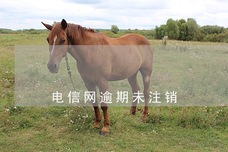 电信网逾期未注销 电信网逾期未注销