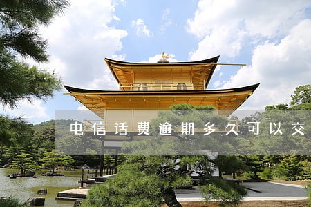 电信话费逾期多久可以交滞纳金 电信话费逾期多久可以交滞纳金
