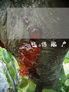 电信账户逾期影响征信吗 电信账户逾期影响征信吗