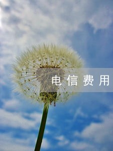 电信费用逾期上征信吗 电信费用逾期上征信吗