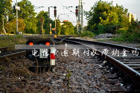 电信费逾期付收滞纳金吗 电信费逾期付收滞纳金吗