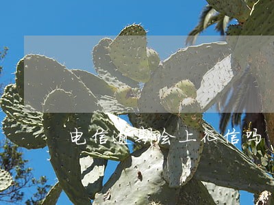 电信逾期会上征信吗 电信逾期会上征信吗