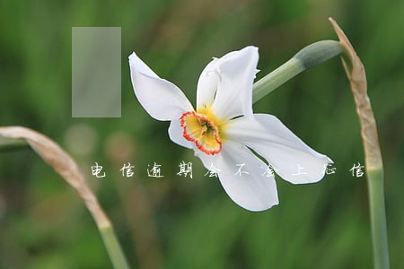 电信逾期会不会上征信 电信逾期会不会上征信