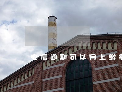 电信逾期可以网上缴费吗 电信逾期可以网上缴费吗
