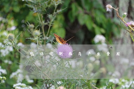 电信逾期未交产生费用 电信逾期未交产生费用