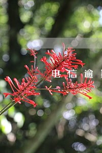 电信逾期未交网上支付 电信逾期未交网上支付