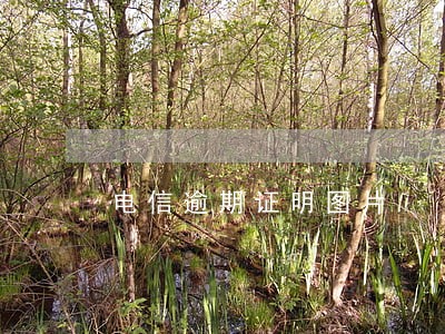 电信逾期证明图片 电信逾期证明图片