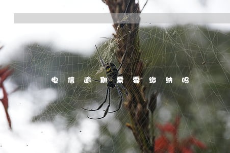 电信逾期需要缴纳吗 电信逾期需要缴纳吗