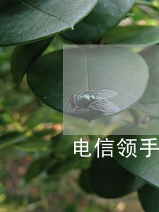 电信领手机逾期催款好做吗