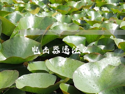 电击器违法么 电击器违法么