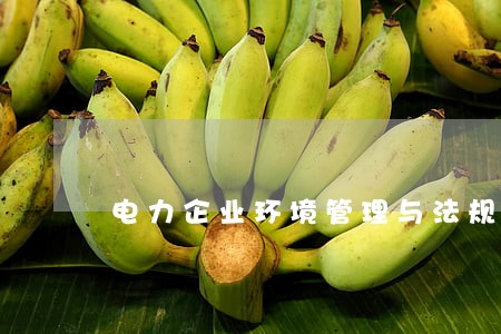 电力企业环境管理与法规