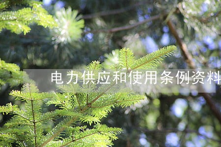 电力供应和使用条例资料下载 电力供应和使用条例资料下载